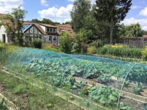 Moestuin Genrayhof