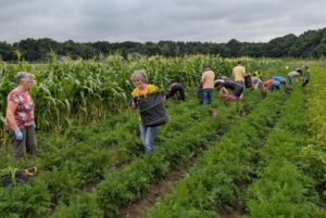 Herenboeren Ulingshof