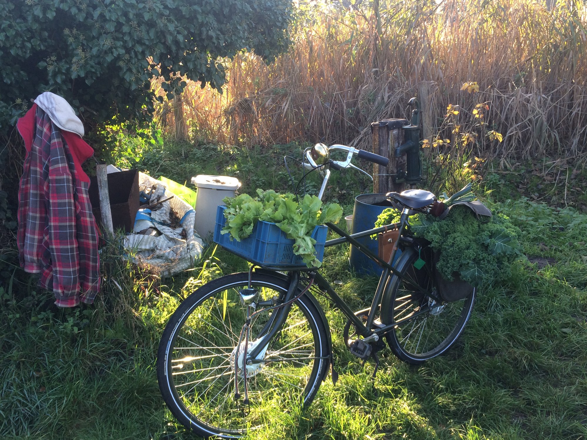 Fiets met een krat verse oogst bij de zwengelpomp van 't Lank