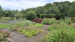 Kloostertuin Ulingsheide
